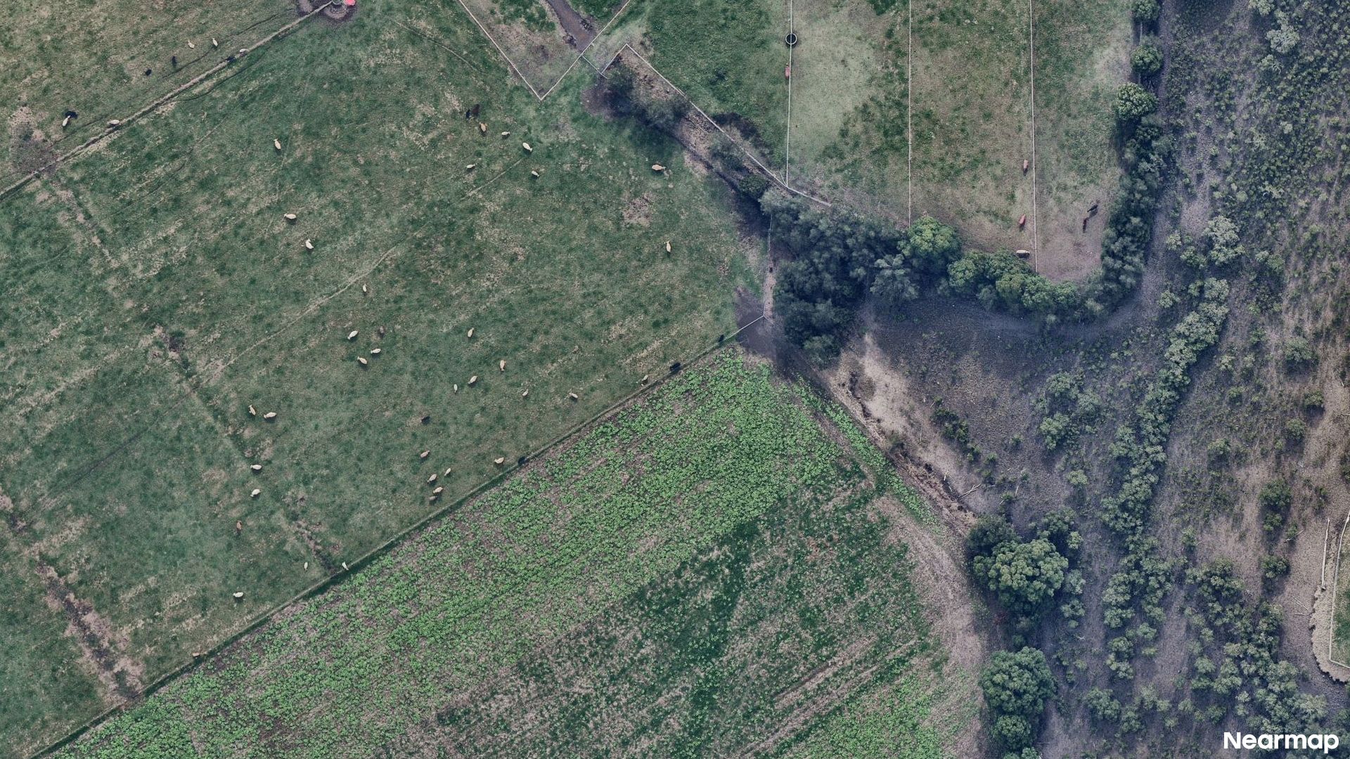 Vertical aerial view